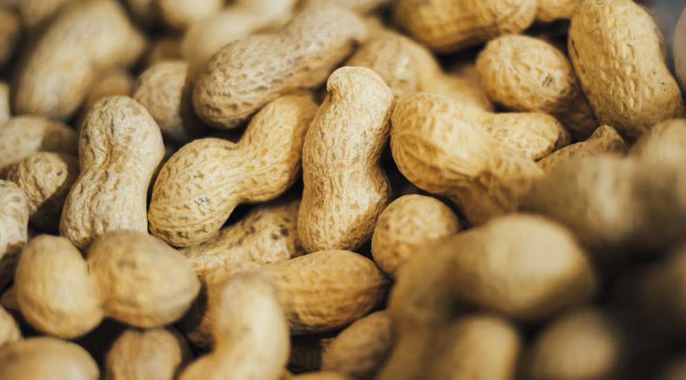 Peanuts