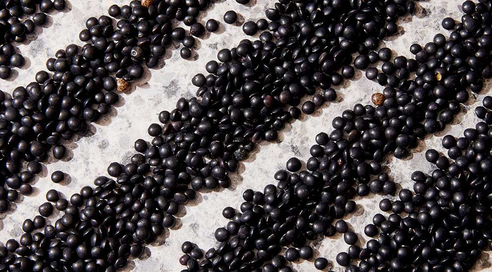 Black Lentil