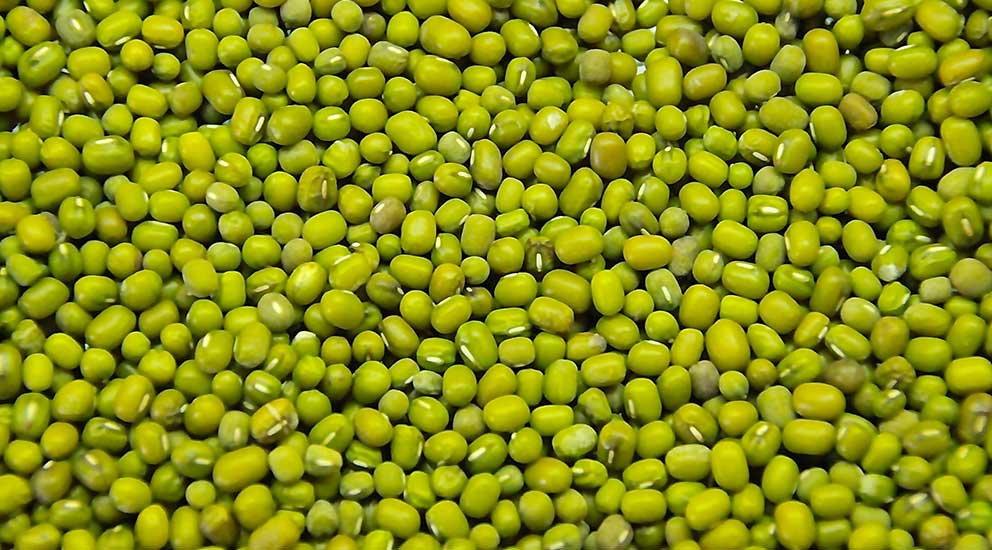 Green Moong Lentils
