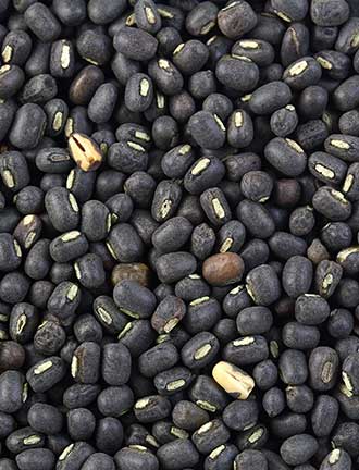 Black Gram