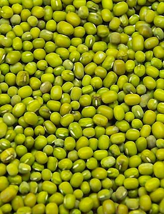 Green Moong Lentils