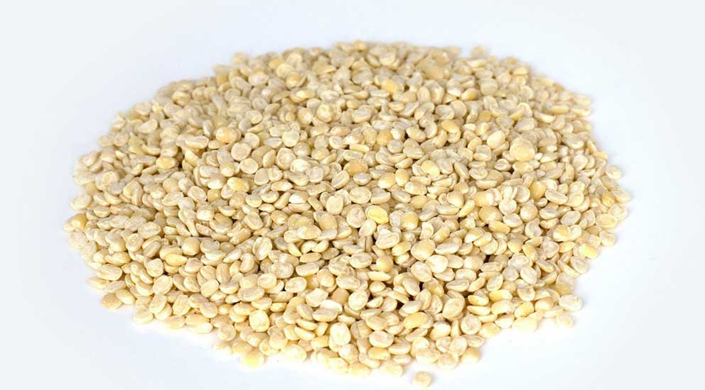 Urad Dal Split