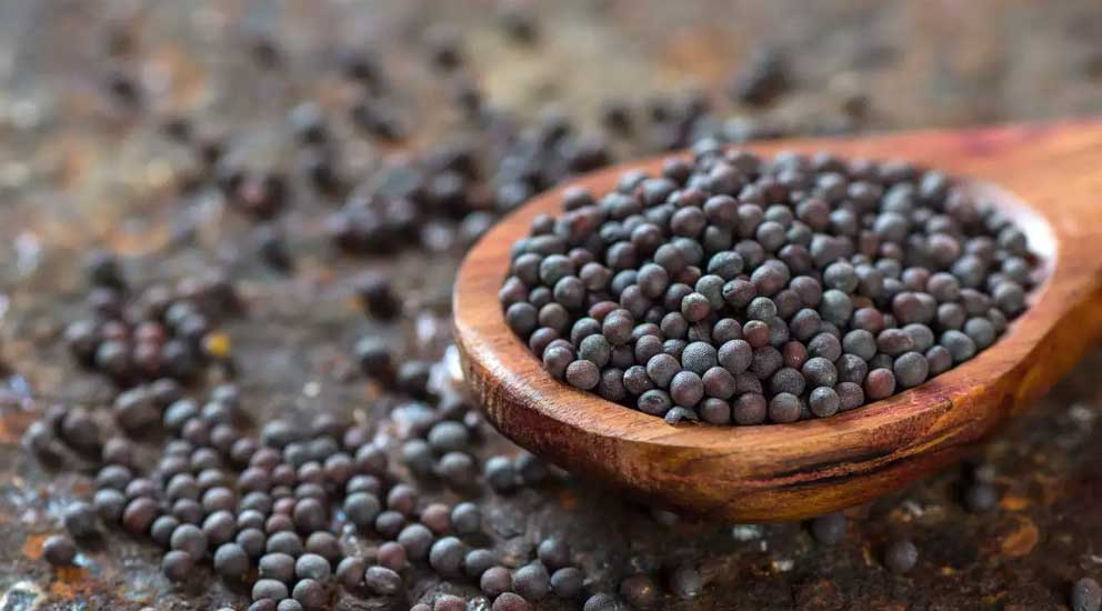 Mustard Seed