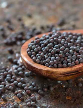 Mustard Seed