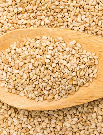 Sesame Seed