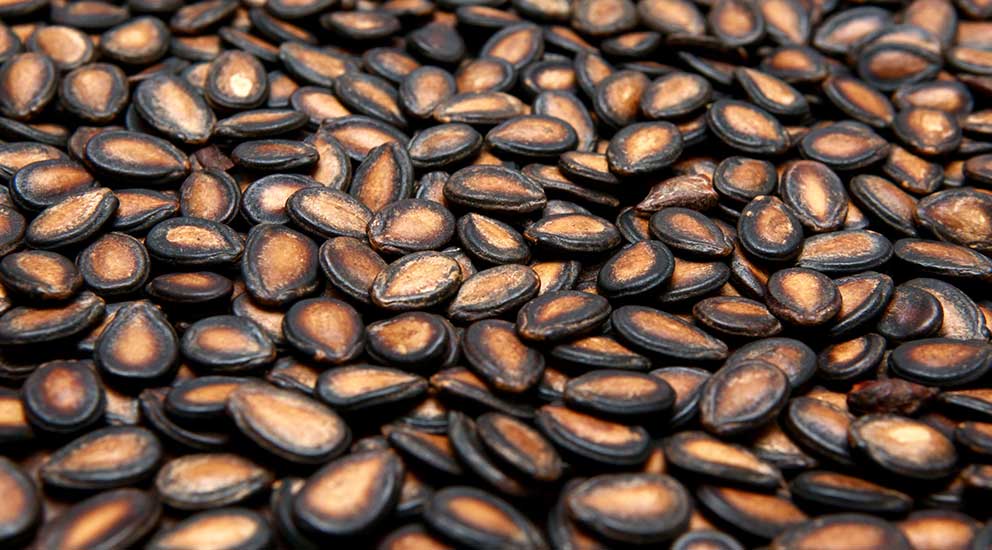Watermelon Seeds