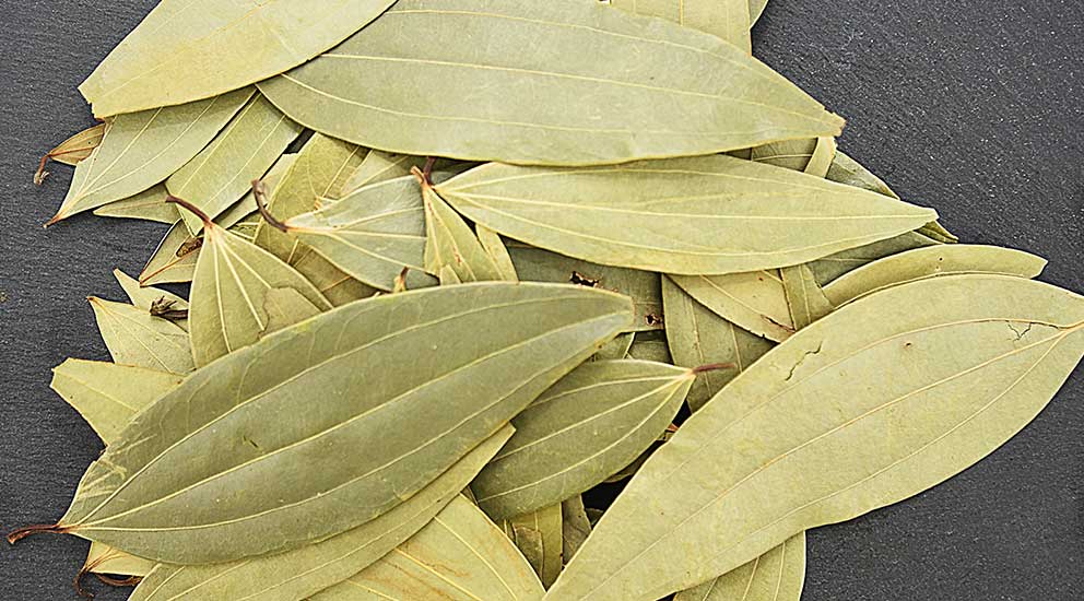 Bay Leaf