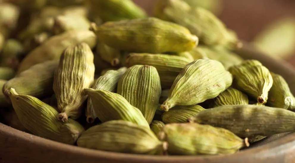 Cardamom