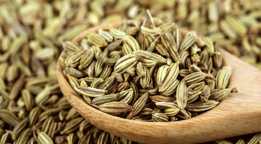 Fennel Seeds