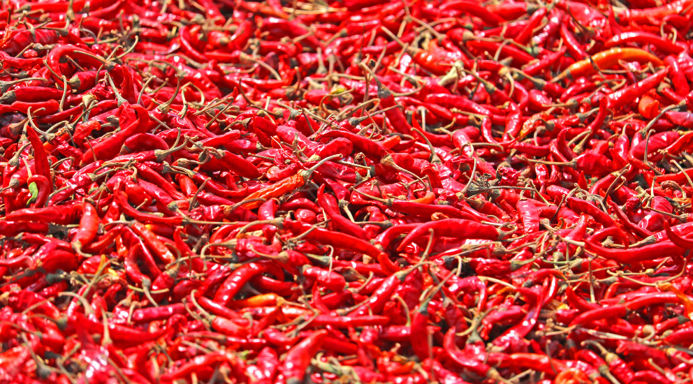 Red Chillies