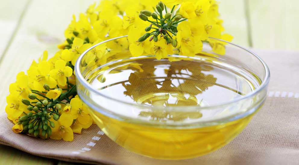Canola Oil