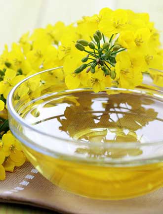 Canola Oil